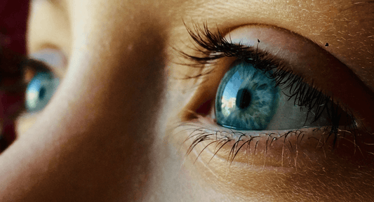 Clear Vision Ahead: Exploring Alcon Vision Contact Lenses